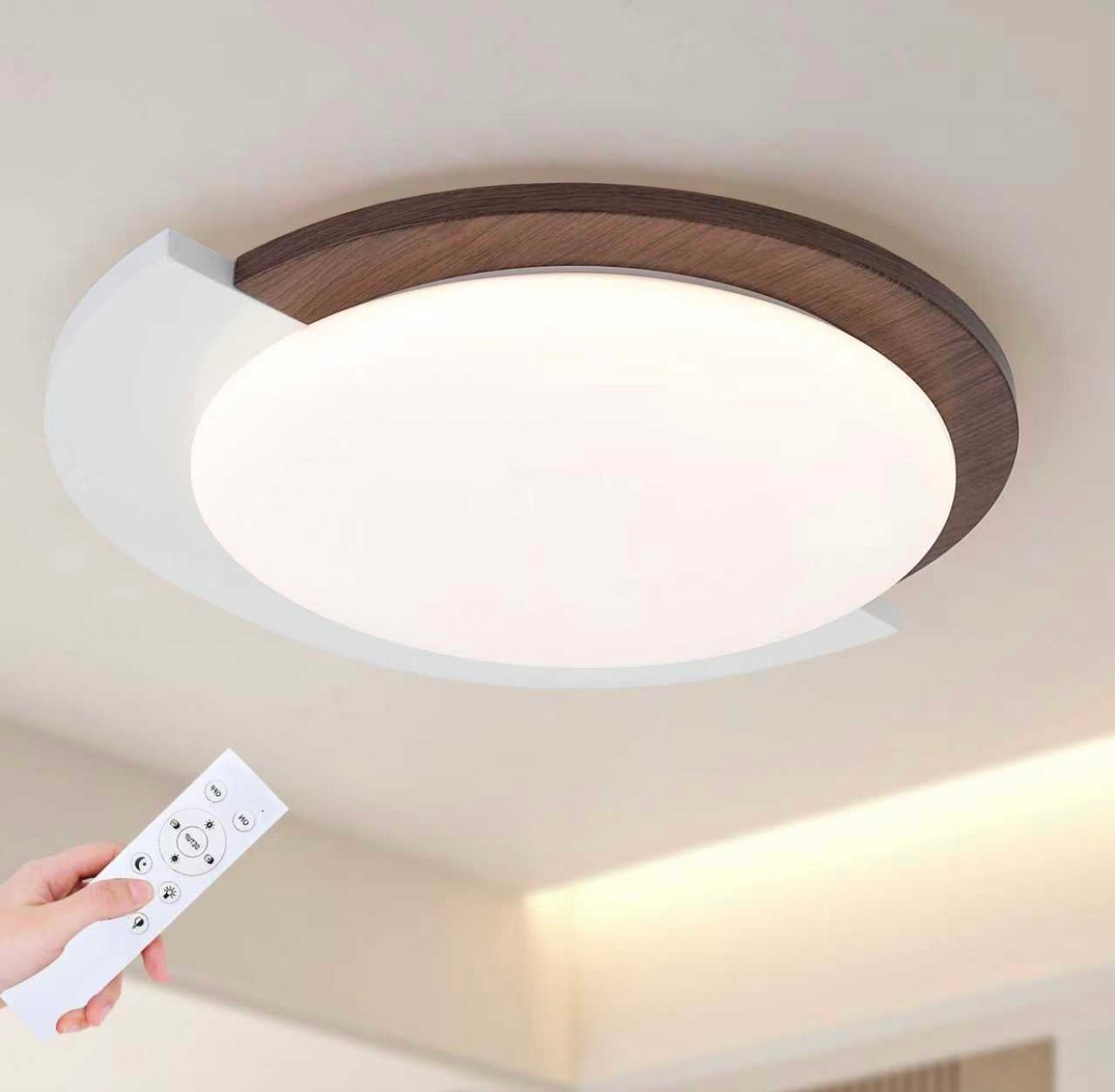 CEILING LIGHT NEW MODEL view 2